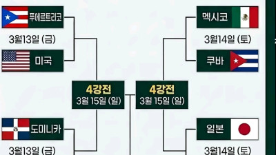 WBC 야구 도미니카 와  8강 대결하는 KOREA 도미노 피자 한판 시켜놓고